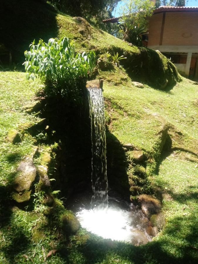 Chalé Truta da Floresta Visconde de Mauá Extérieur photo