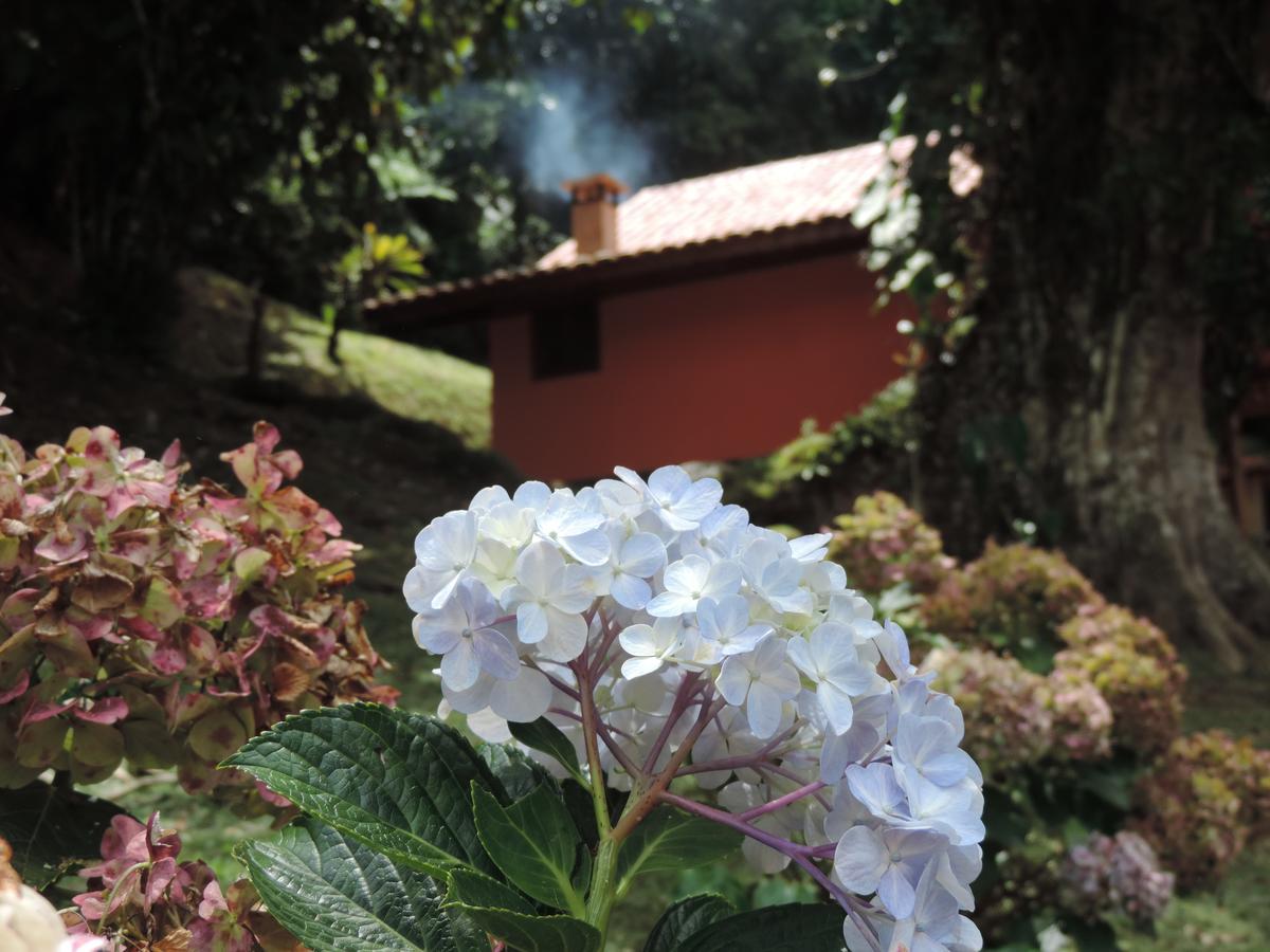 Chalé Truta da Floresta Visconde de Mauá Extérieur photo