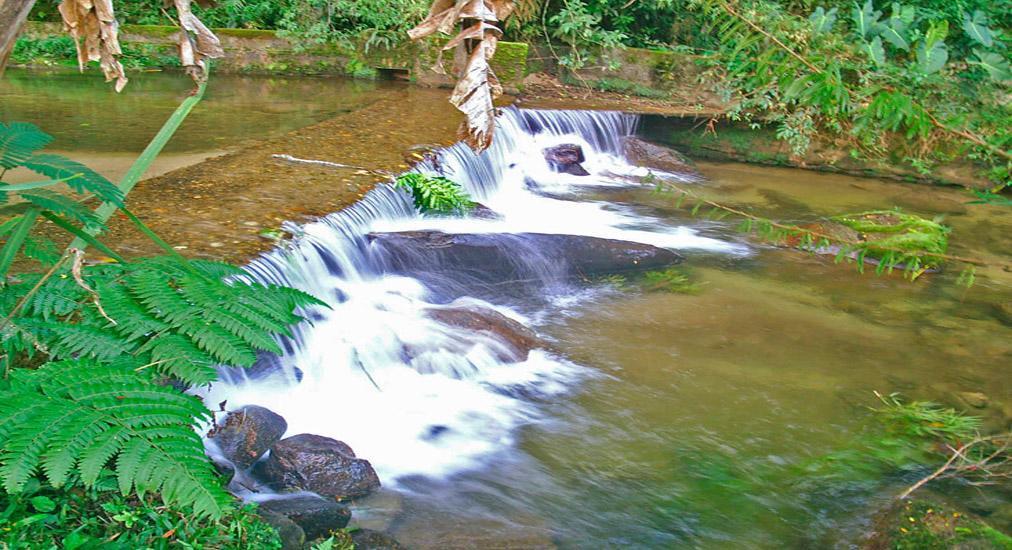 Chalé Truta da Floresta Visconde de Mauá Extérieur photo