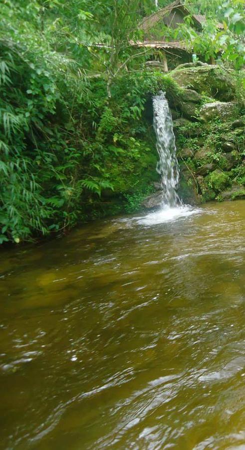 Chalé Truta da Floresta Visconde de Mauá Extérieur photo